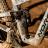 Norco Shore Rampage22 09